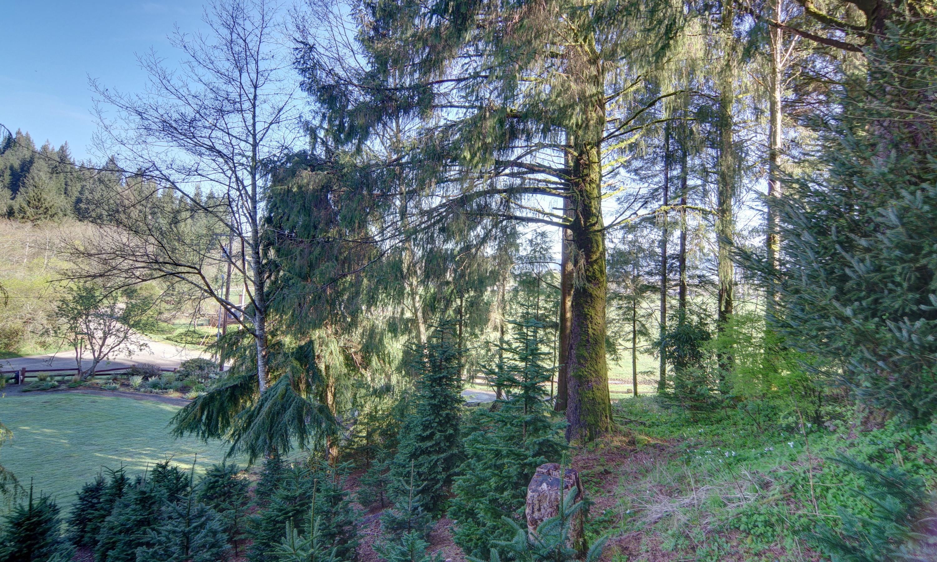 6575 Diercks Road Tillamook, OR 97141 - Photo 55 of 57 IMGP2659_60_61_Natural