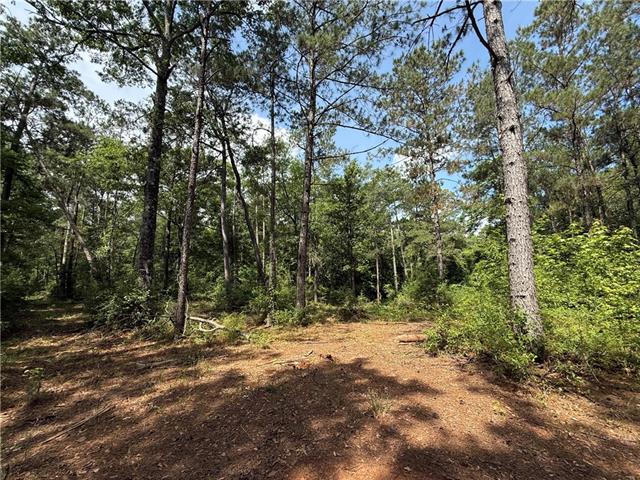 Lot 3-7 Robin Road Franklinton, LA 70438 - Photo 6 of 7