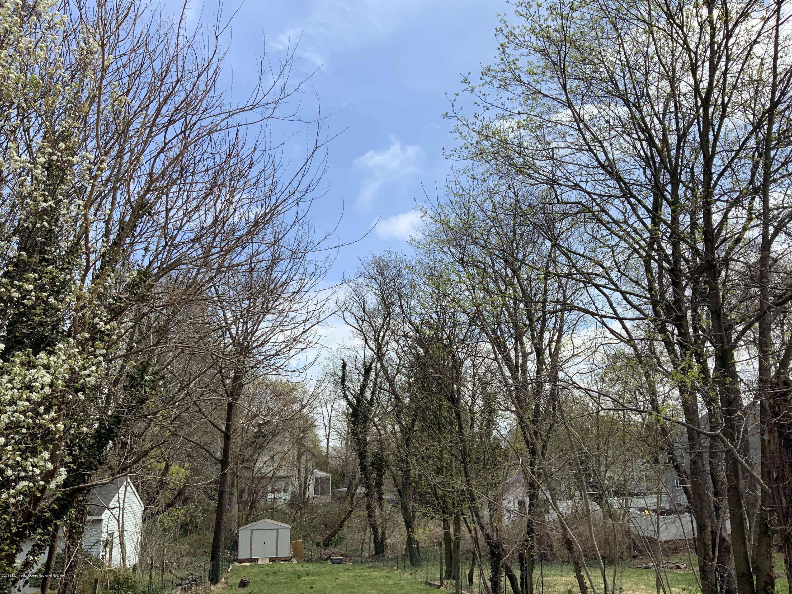 15 Spring Street Red Bank, NJ 07701 - Photo 25 of 30 a view of a yard with a trees