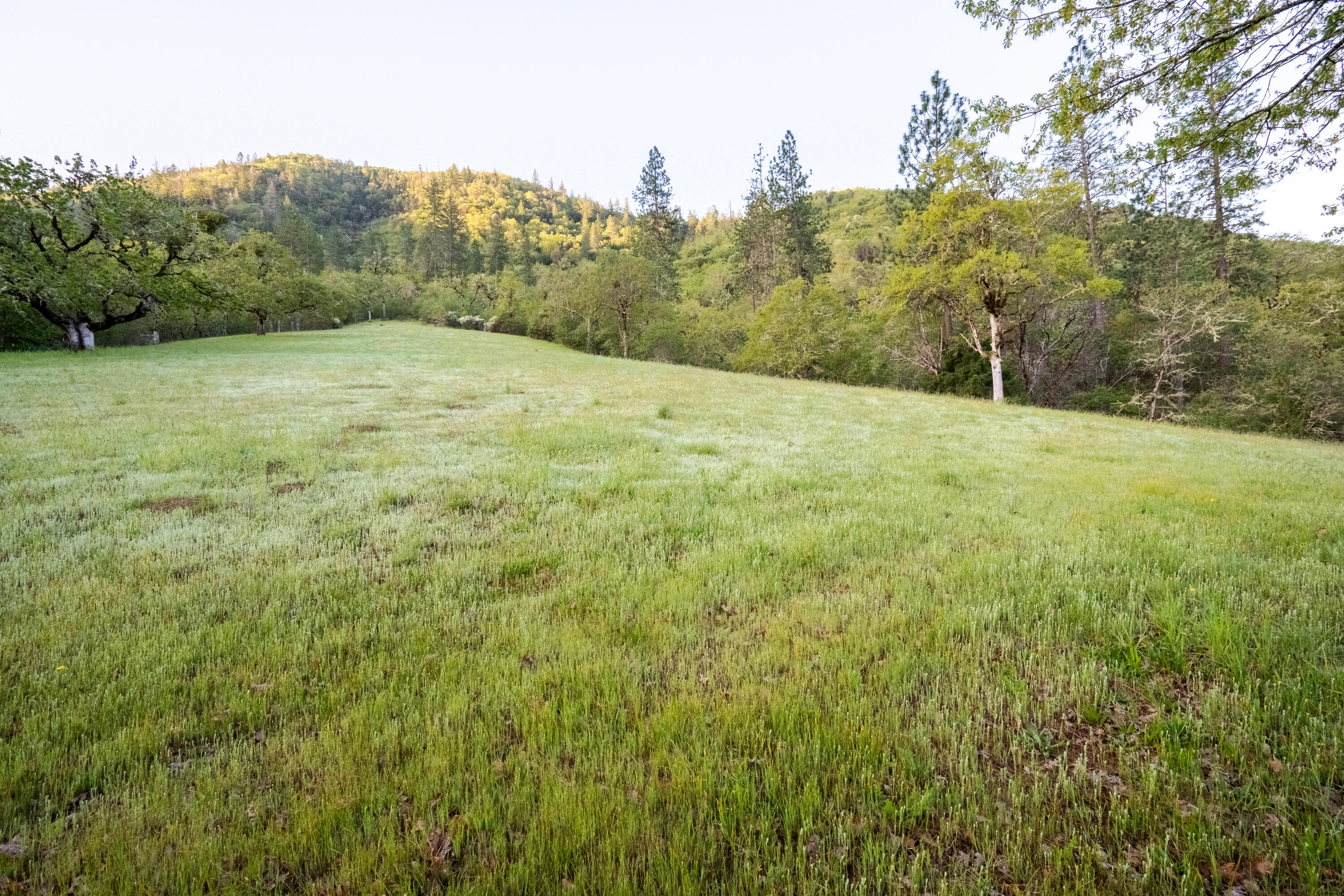 606 Wards Creek Road Rogue River, OR 97537 - Photo 60 of 73 Tin Pan Peak