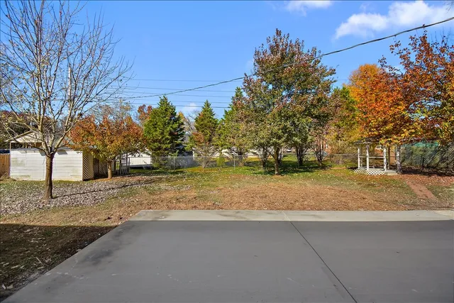 a view of a yard with a tree