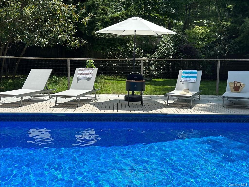 a view of swimming pool with lounge chair