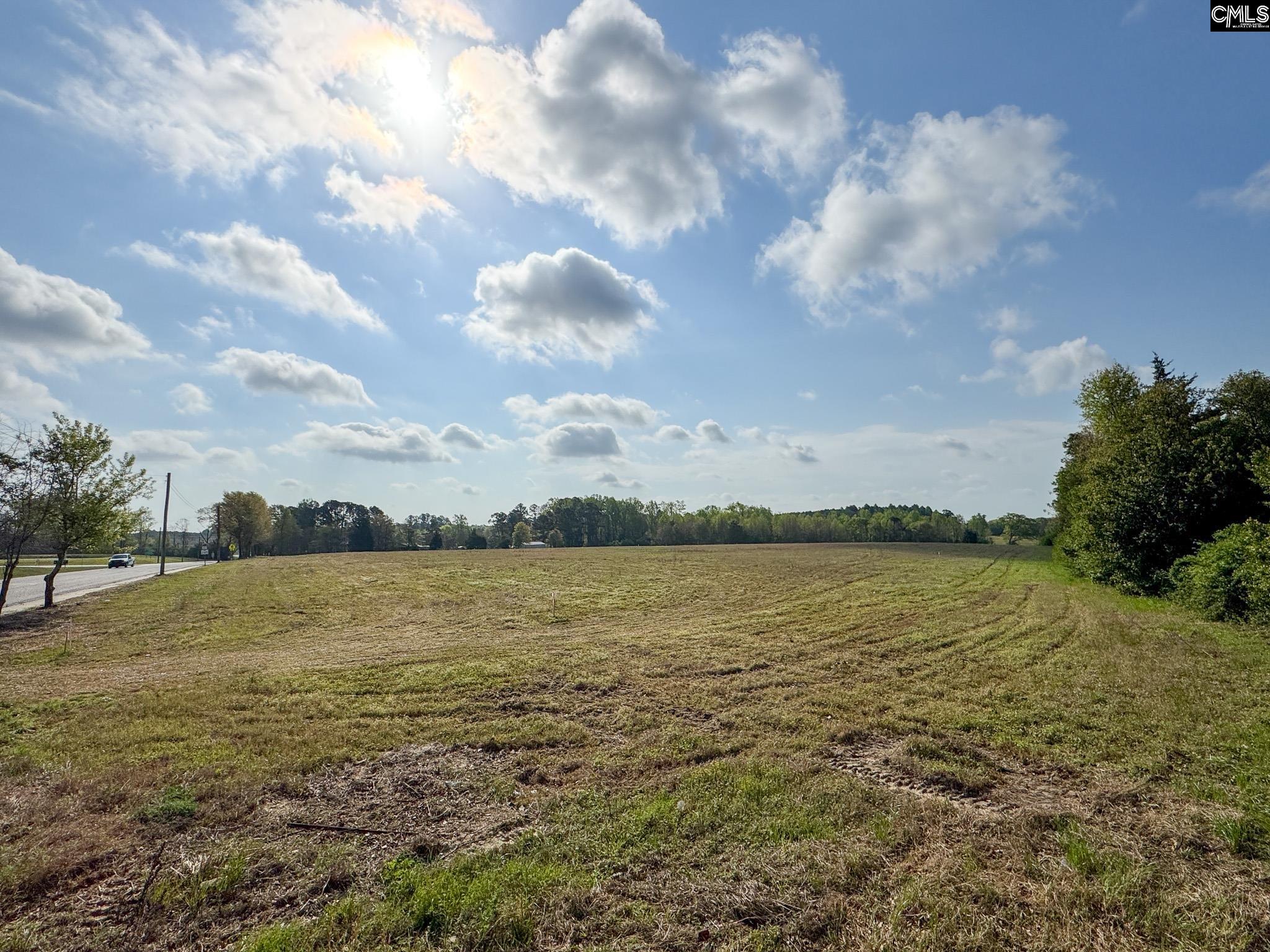 0 Shealy Road, Unit LOT 7 Batesburg, SC 29006 - Photo 5 of 15