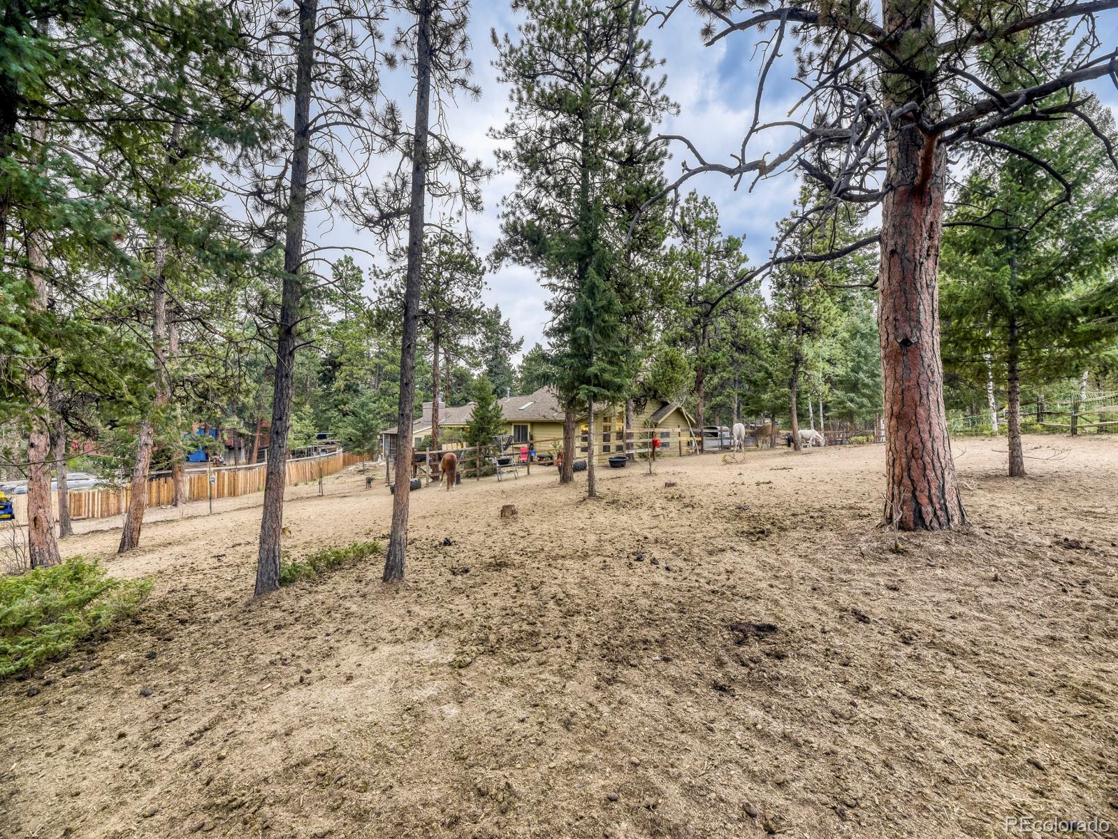 6569 Kiem Road Evergreen, CO 80439 - Photo 29 of 33 Gallery Image 29