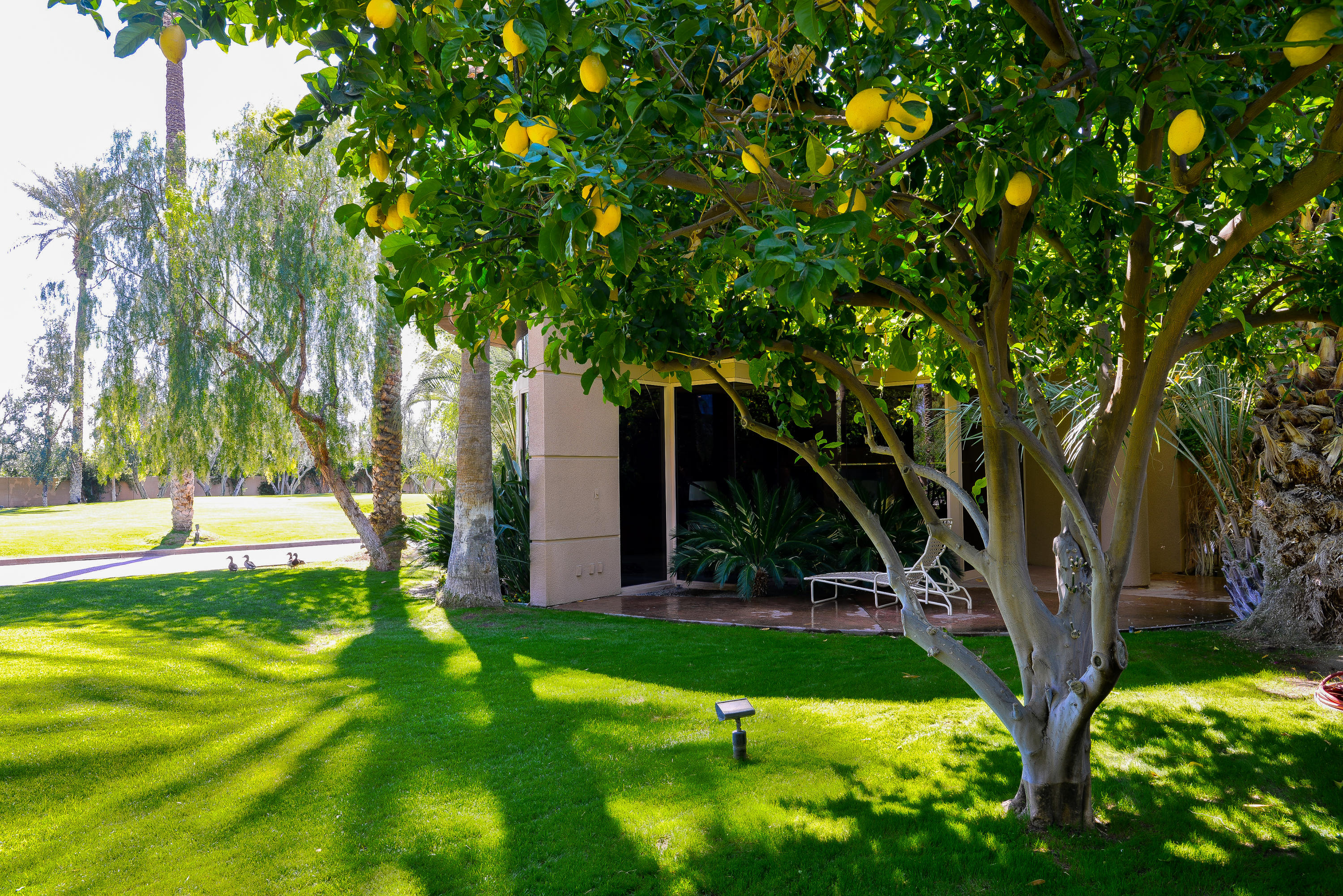 13 Strauss Terrace Rancho Mirage, CA 92270 - Photo 11 of 18 3MozartLarge_024