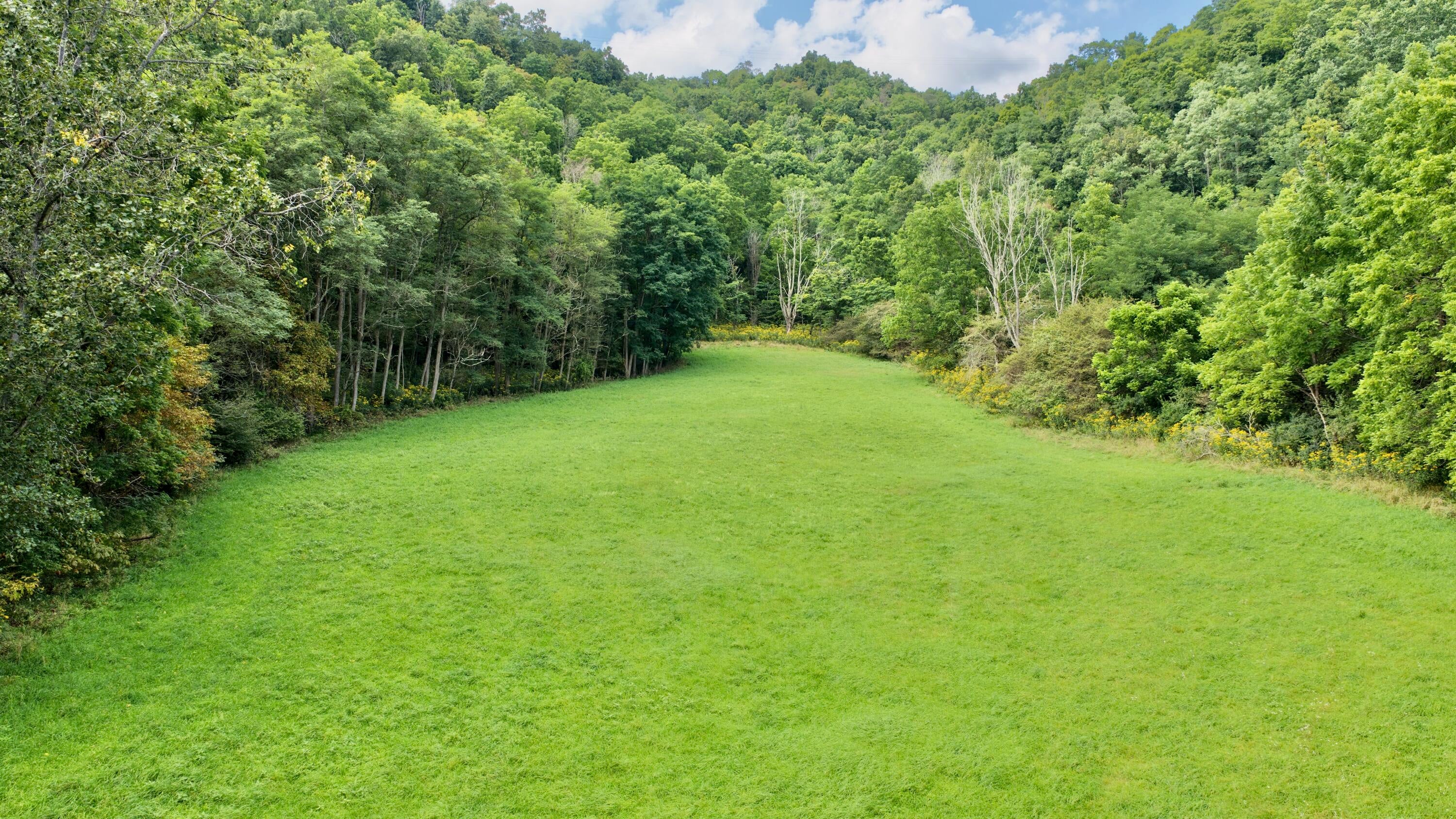 4323 Edray Road Marlinton, WV 24954 - Photo 16 of 28 Gallery Image 16