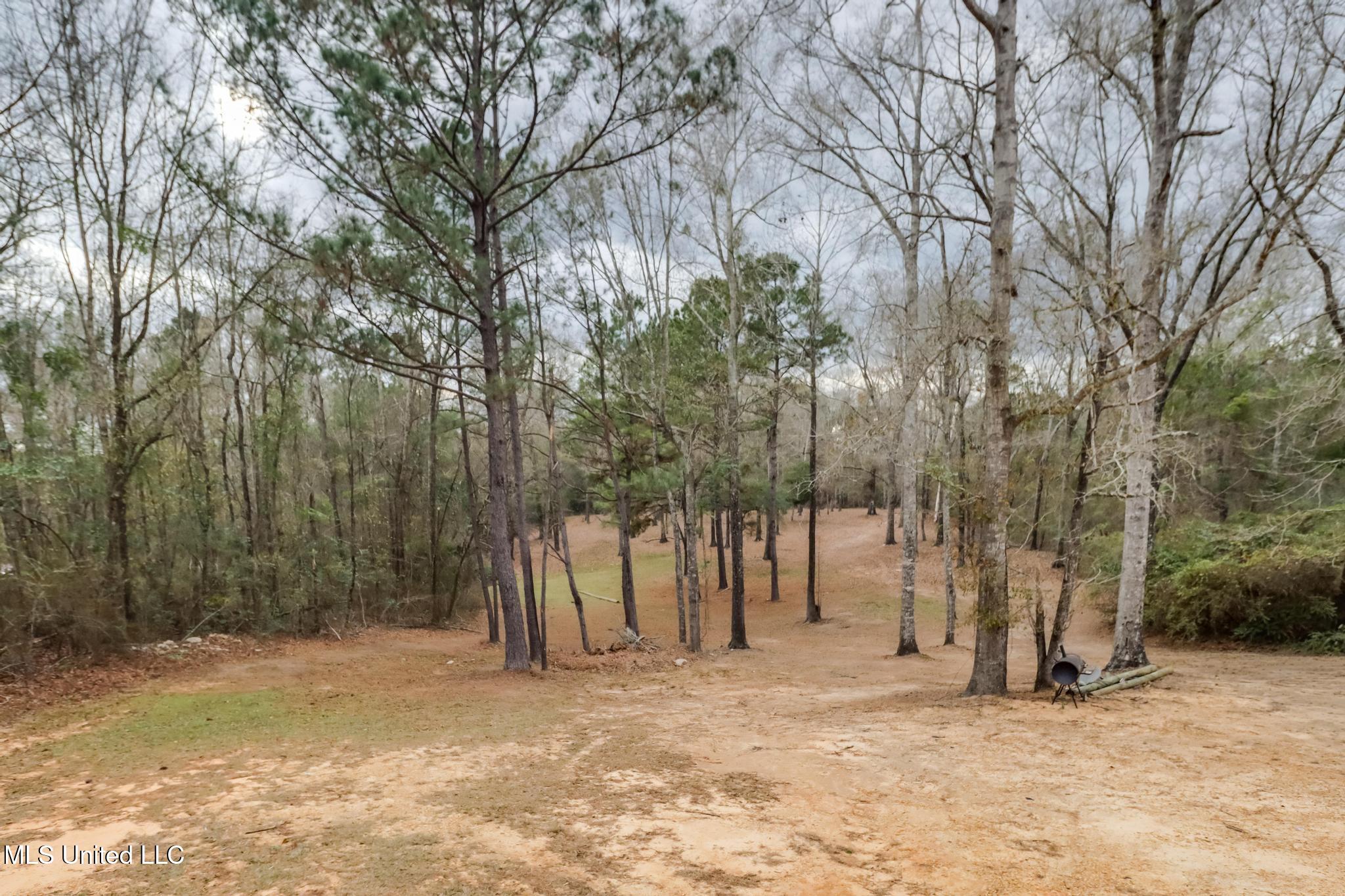 147 Thelma Andrews Road Wiggins, MS 39577 - Photo 2 of 25 Photo Feb 03 2026, 4 20 08 PM (1)