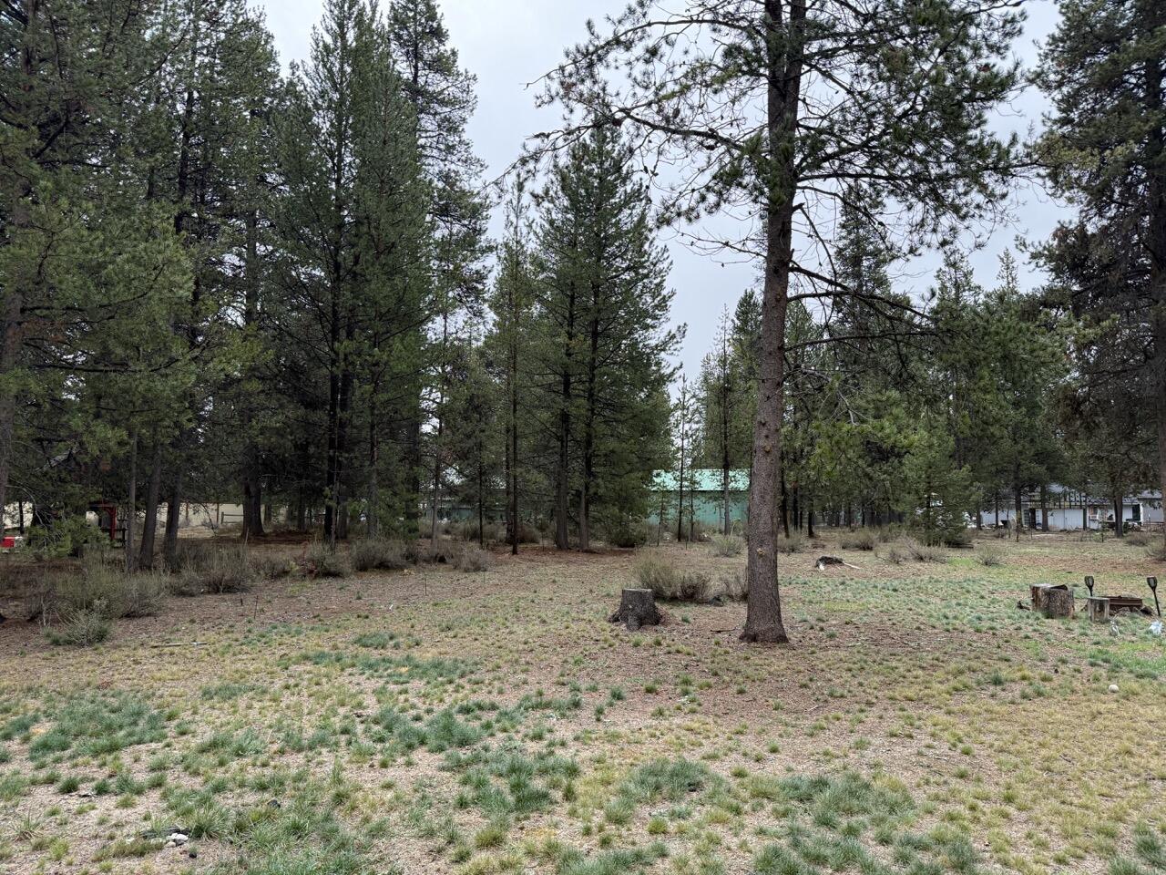 Undisclosed Address La Pine, OR 97739 - Photo 27 of 31 Back yard