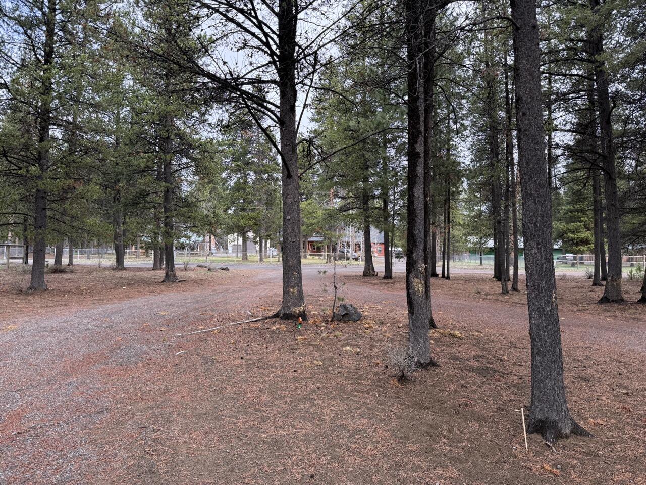 Undisclosed Address La Pine, OR 97739 - Photo 31 of 31 Front yard