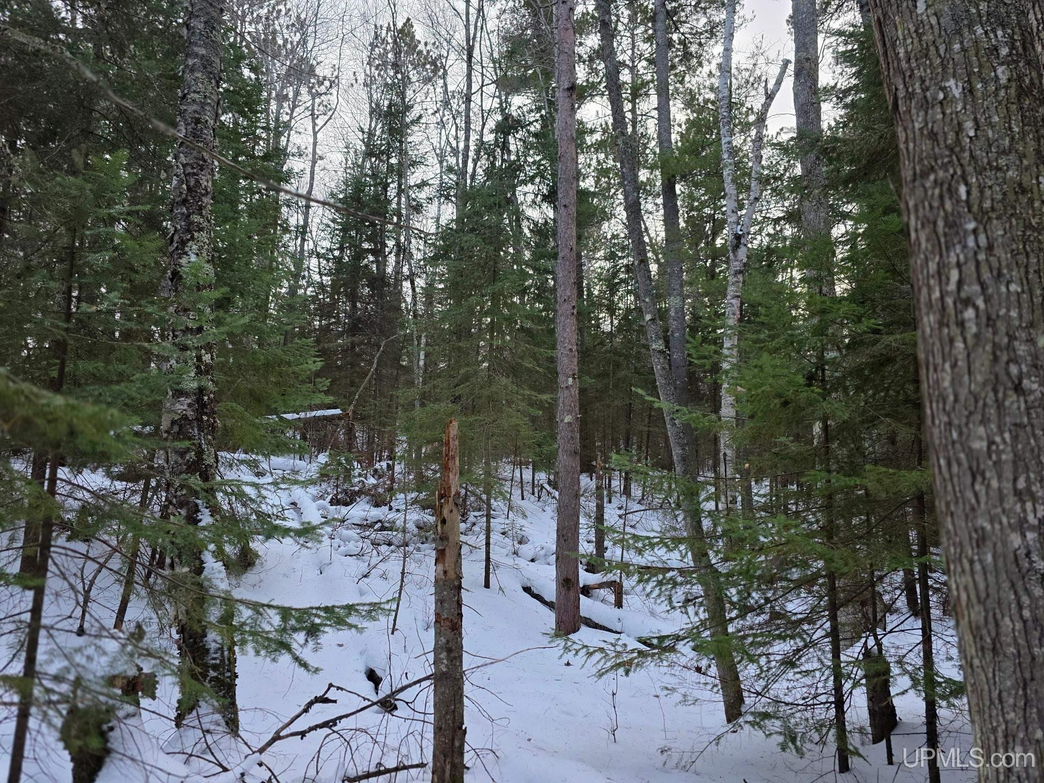 Tbd Sand Lake Road Marquette, MI 49855 - Photo 12 of 13