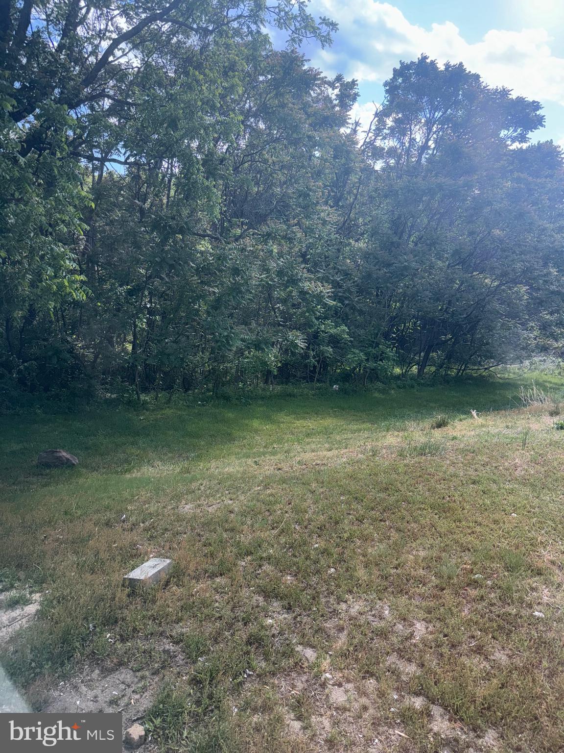 1650 Skinners Turn Road Owings, MD 20736 - Photo 9 of 66 a view of a yard