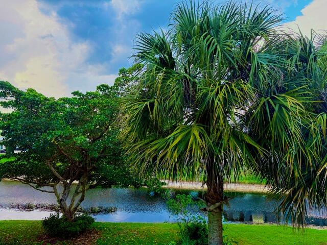 6703 Via Regina Boca Raton, FL 33433 - Photo 10 of 39 13489bd6-4c3e-455e-9082-da3454a734a3