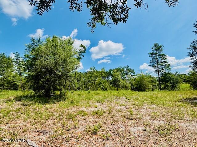 0 Lake Ridge Drive Chipley, FL 32428 - Photo 11 of 21