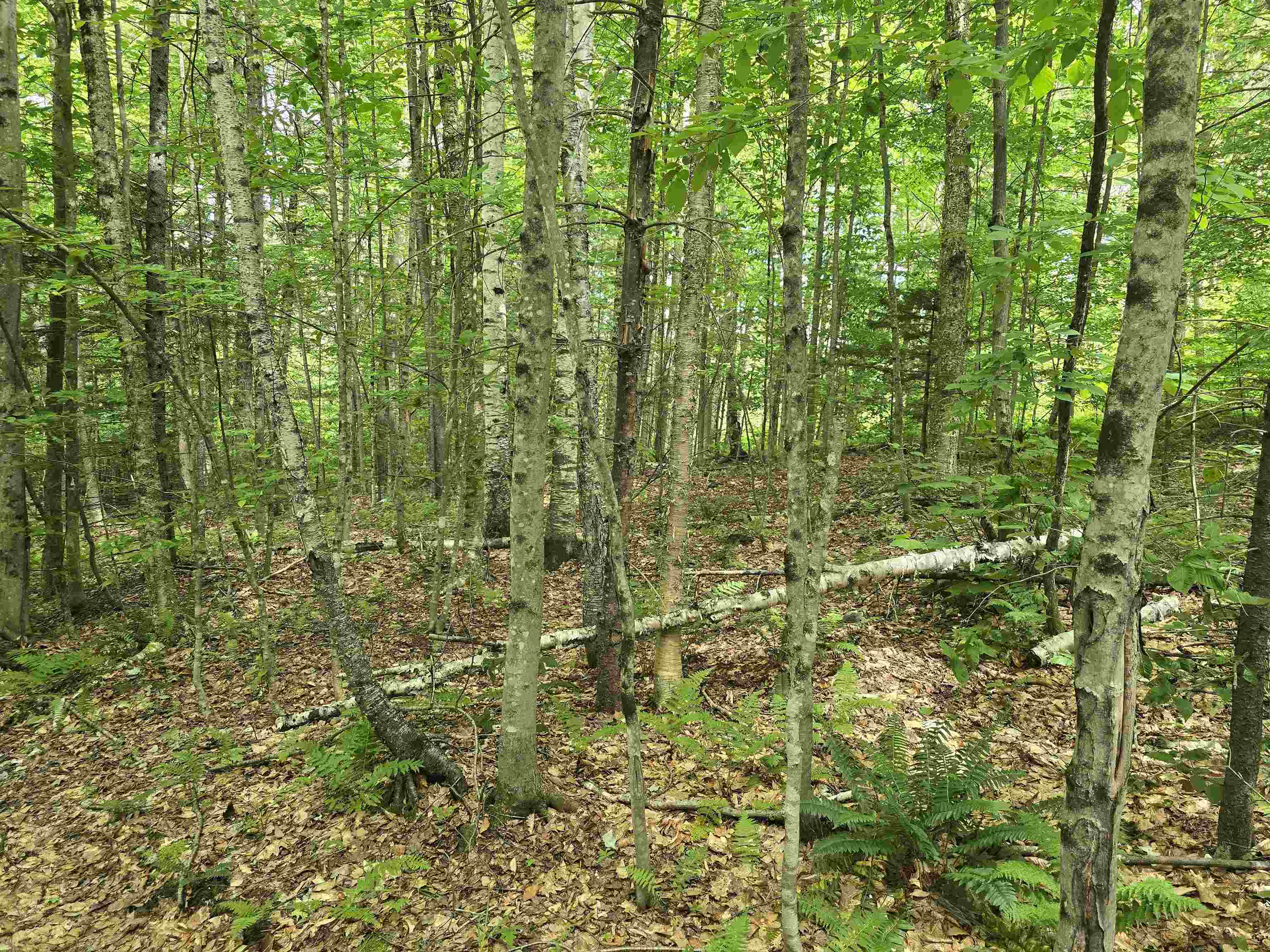 Tbd Farrar Road Chester, VT 05143 - Photo 22 of 24