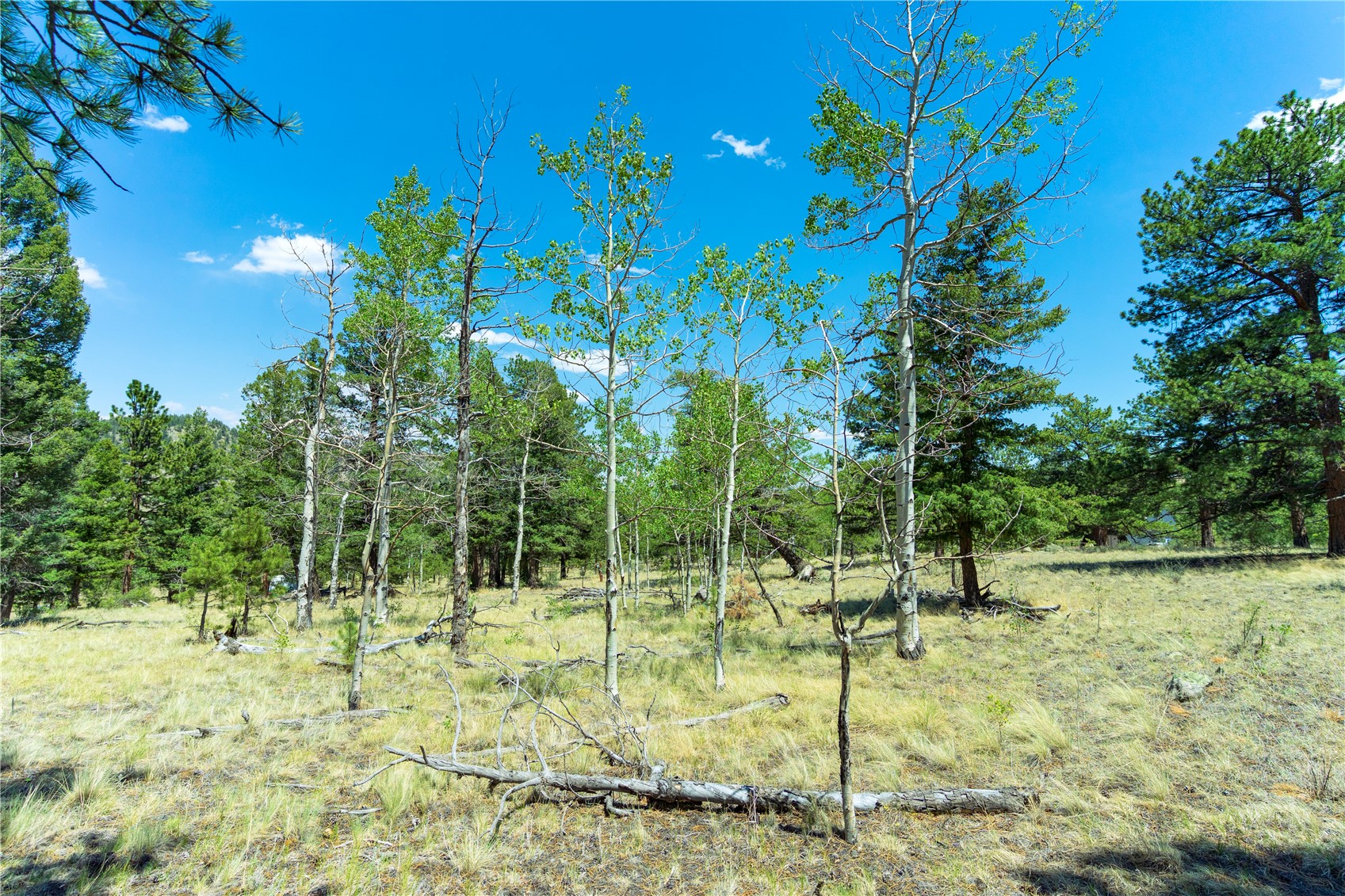 1036 Pulver Road Lake George, CO 80827 - Photo 23 of 27