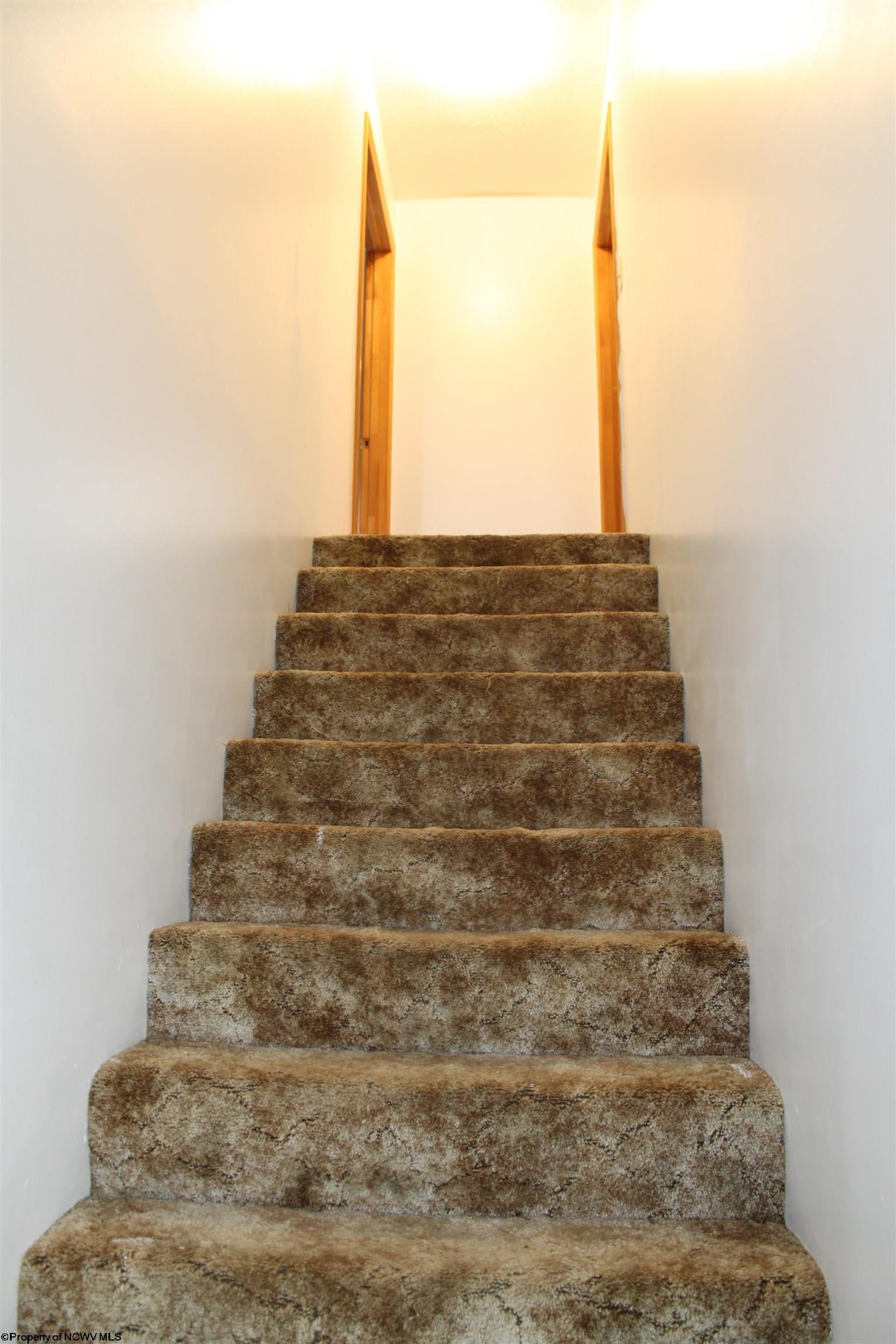 238 Excelsior Road Webster Springs, WV 26288 - Photo 10 of 24 Gallery Image 10