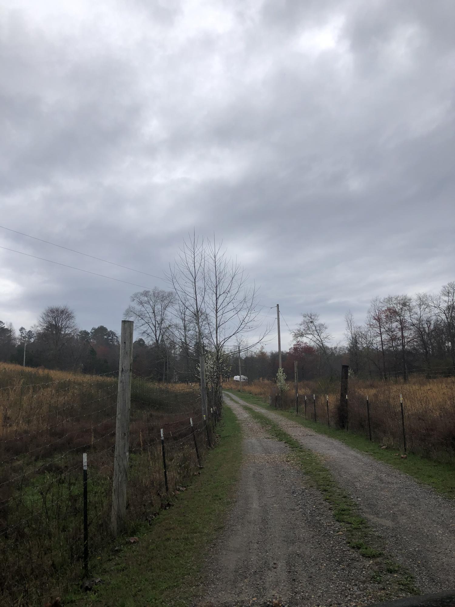 313 Rogers Road Chickamauga, GA 30707 - Photo 2 of 4 IMG_4149