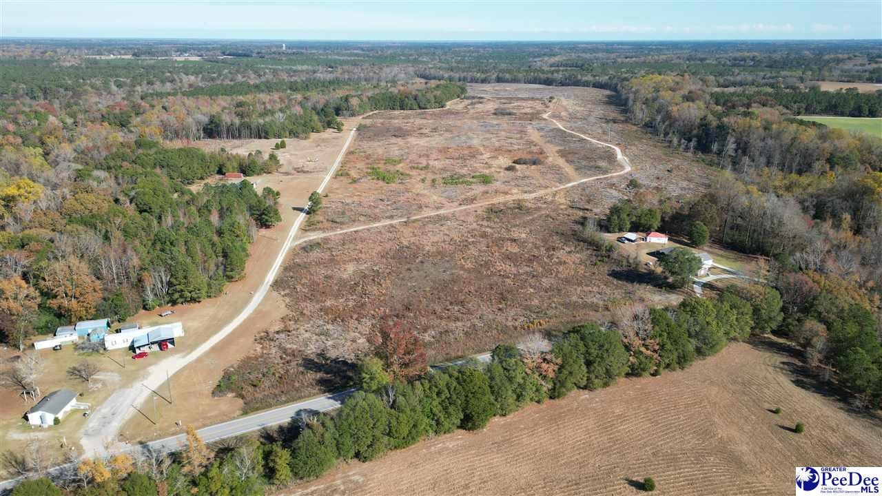 Tbd Old Florence Road Darlington, SC 29532 - Photo 1 of 15 Gallery Image 1