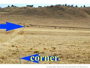 880 Salt Ranch Trail Hartsel, CO 80449 - Photo 11 of 25 Gallery Image 11