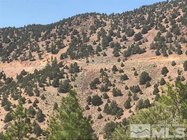 20 Toll Road, Unit 2 Reno, NV 89521 - Photo 2 of 10 a view of a field