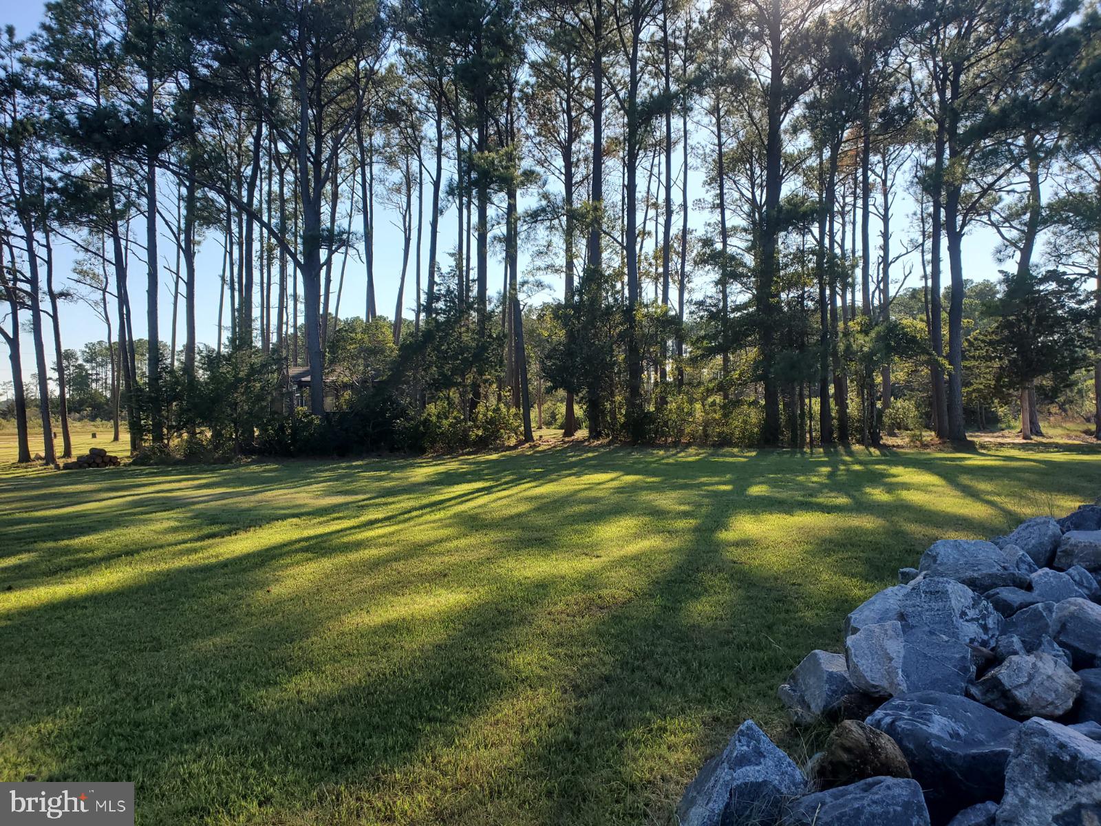 1887 Point Breeze Road Hudgins, VA 23076 - Photo 27 of 77 a view of a golf course with a trees