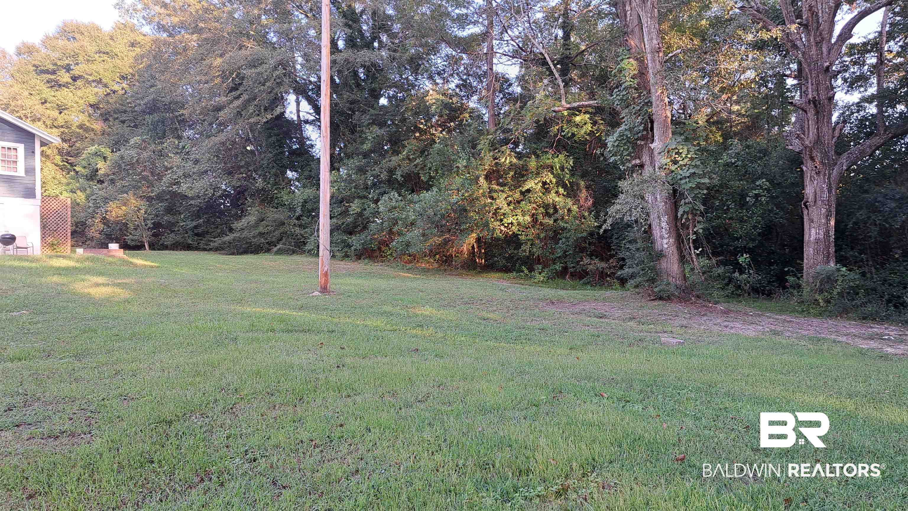 110 South Main Street Evergreen, AL 36401 - Photo 24 of 27 Expansive lawn area with mature trees forming a natural border