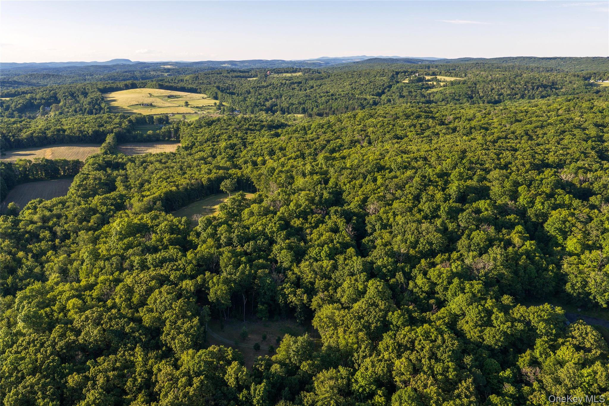 Mallory Road Verbank, NY 12585 - Photo 8 of 16