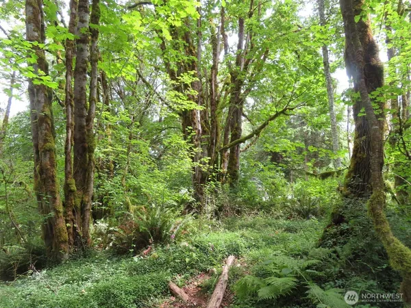 $75,000 | 11 Valley View Drive, Mossyrock, WA 98564