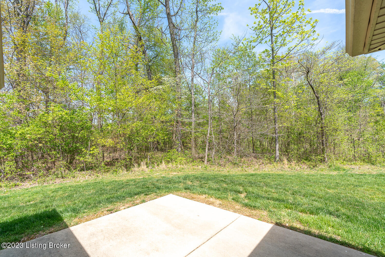 6551 Renate Road Louisville, KY 40291 - Photo 23 of 29 backyard