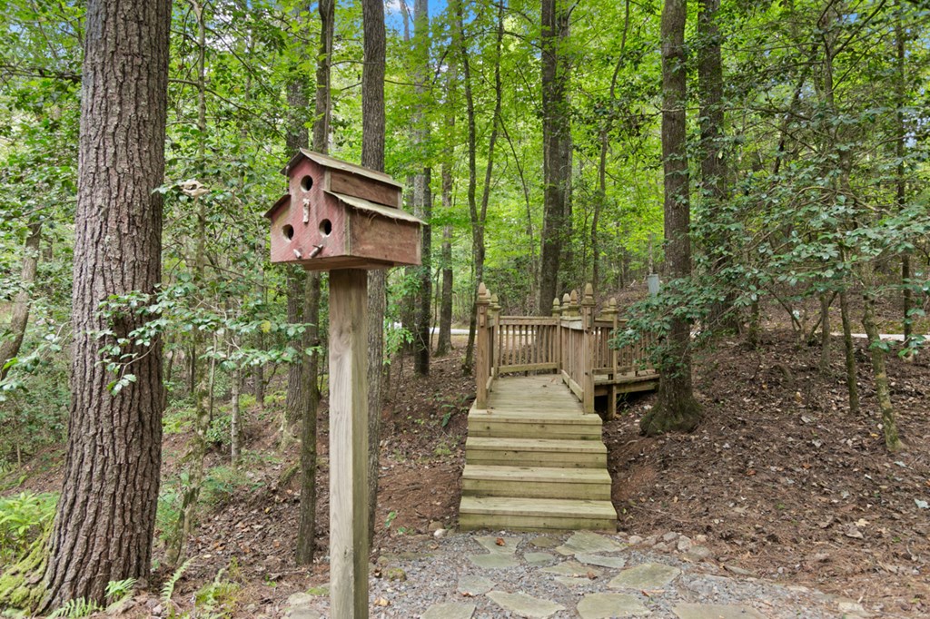 35 Cedar Ridge Road Cherry Log, GA 30522 - Photo 45 of 53 Gallery Image 45