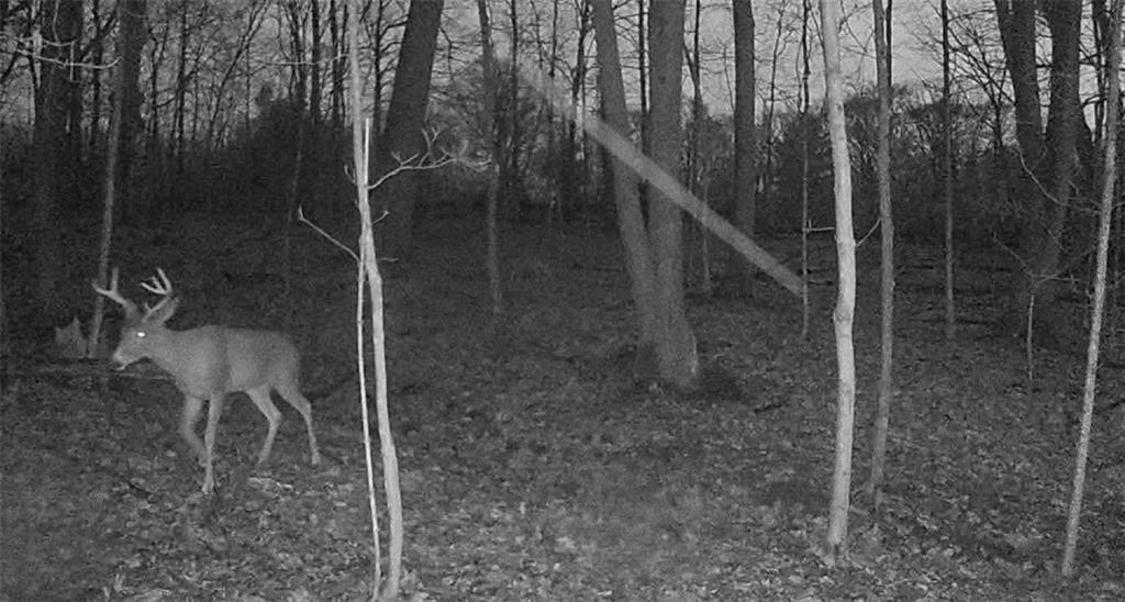 0 Campground Road West Middlesex, PA 16159 - Photo 4 of 12