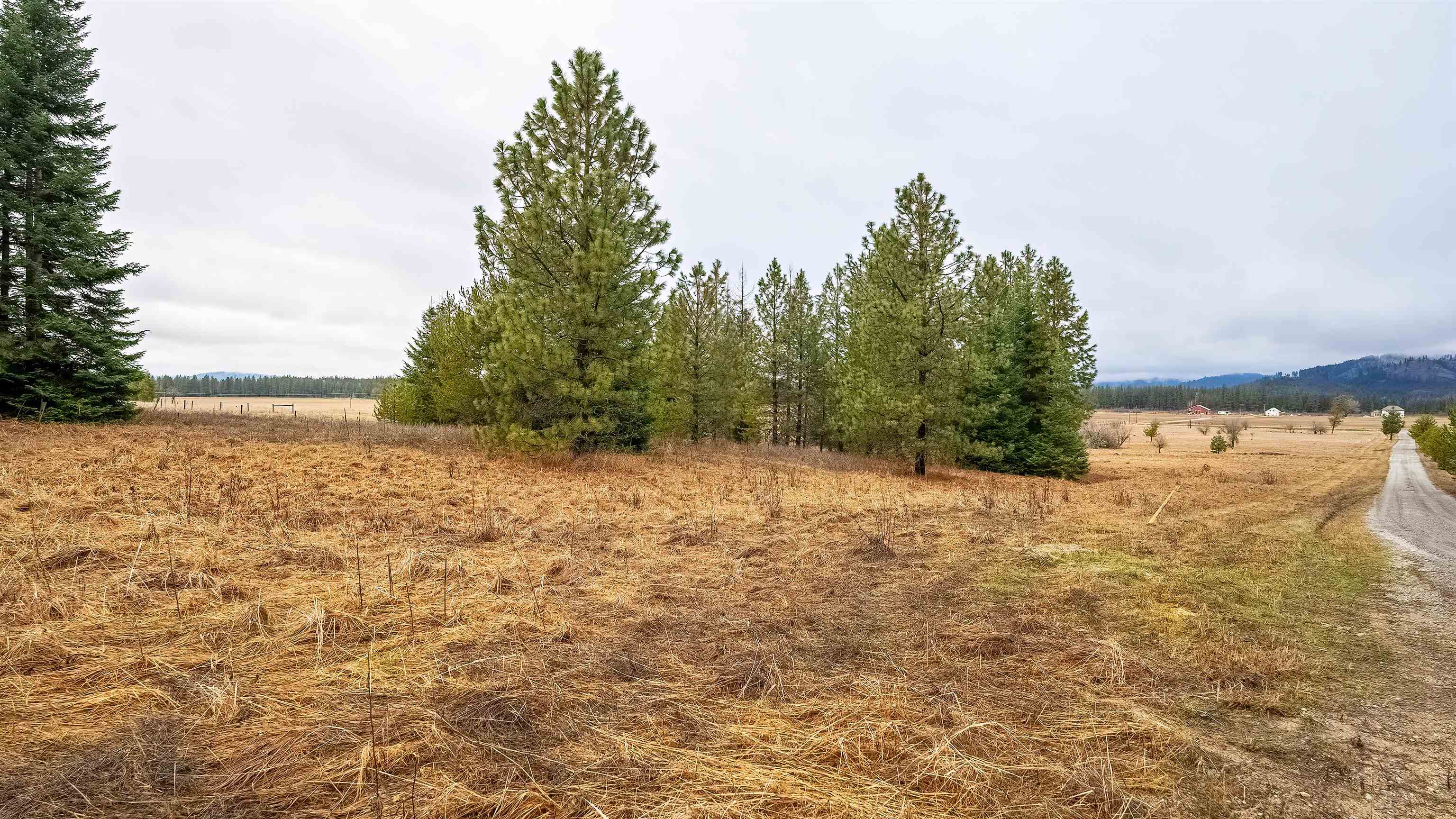 200 Siebert Spgs Road Newport, WA 99156 - Photo 15 of 21 Gallery Image 15
