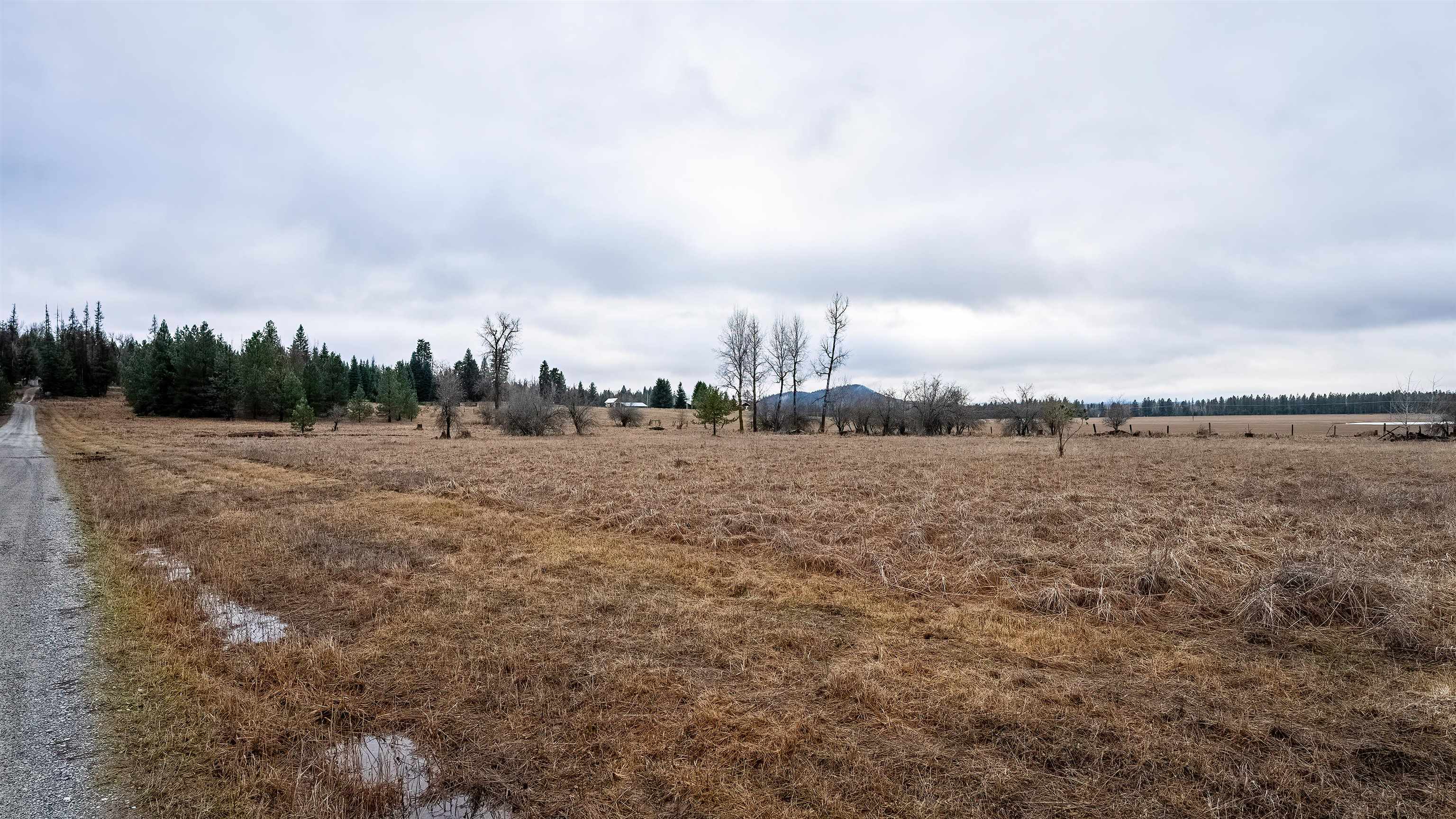 200 Siebert Spgs Road Newport, WA 99156 - Photo 19 of 21 Gallery Image 19