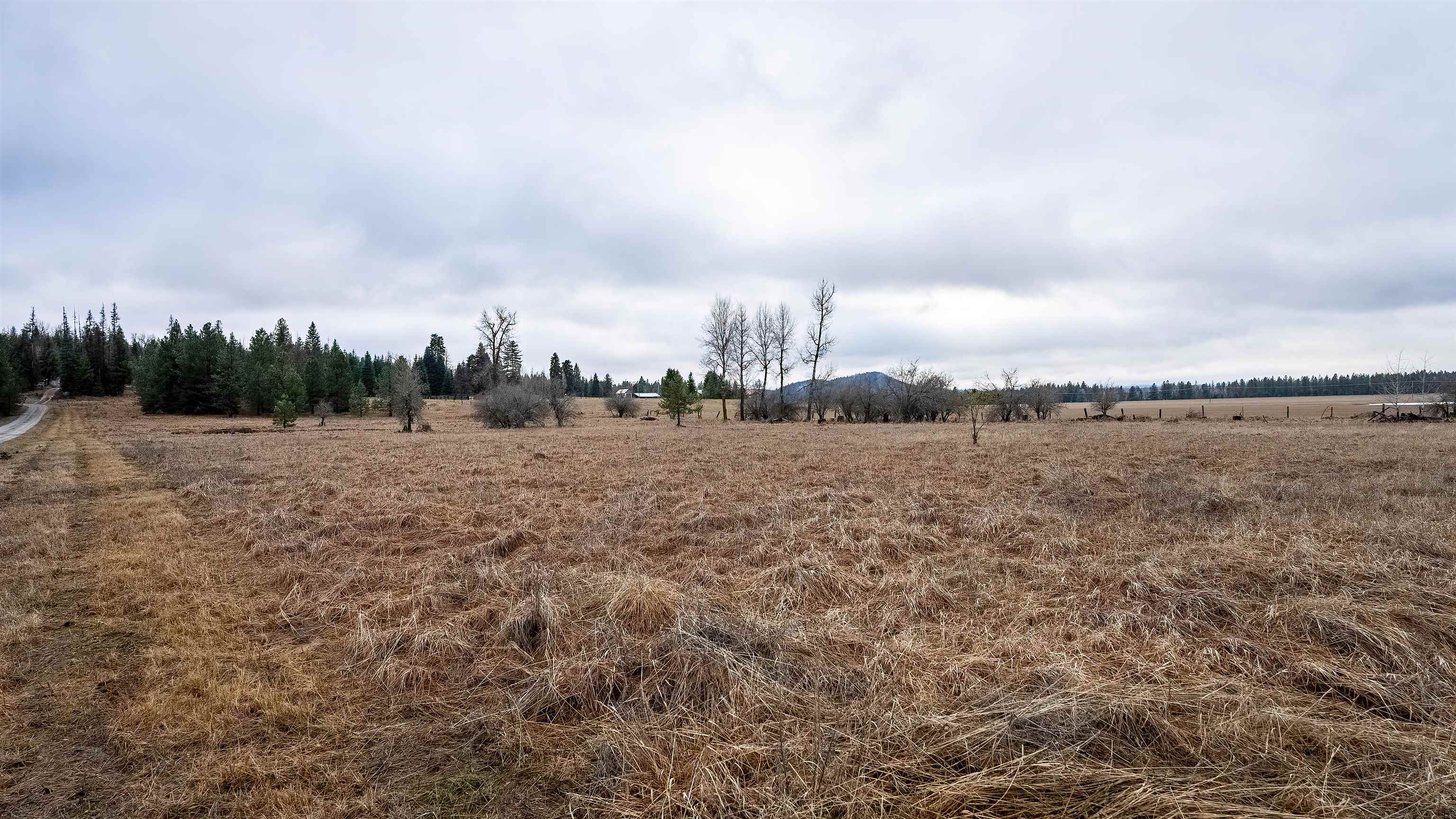 200 Siebert Spgs Road Newport, WA 99156 - Photo 20 of 21 Gallery Image 20