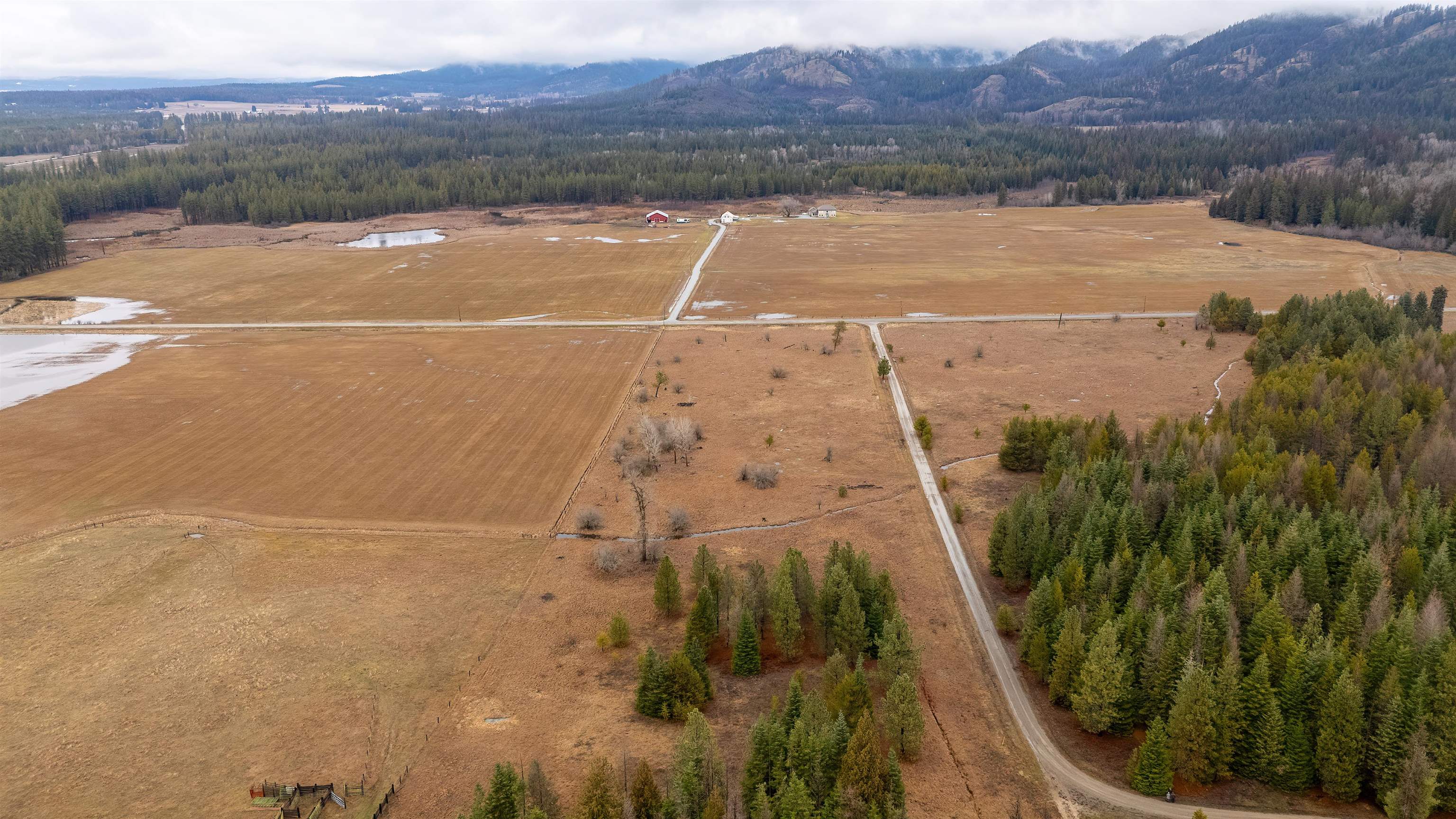200 Siebert Spgs Road Newport, WA 99156 - Photo 10 of 21 Gallery Image 10