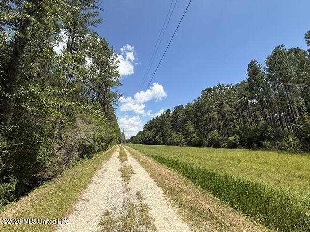 Elmer Hamilton Road Road Moss Point, MS 39562 - Photo 15 of 27 IMG_4842