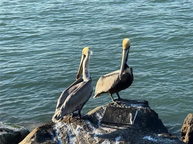 $1,499,999 | 107 Desota Street, Fort Pierce, FL 34949