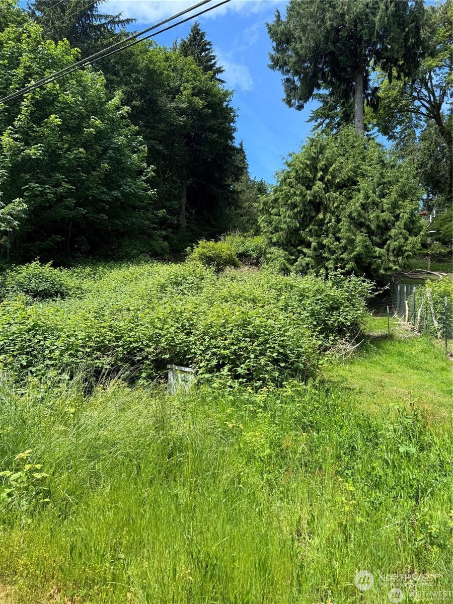 123 Illahee Road Northeast Bremerton, WA 98310 - Photo 2 of 9 a view of a garden
