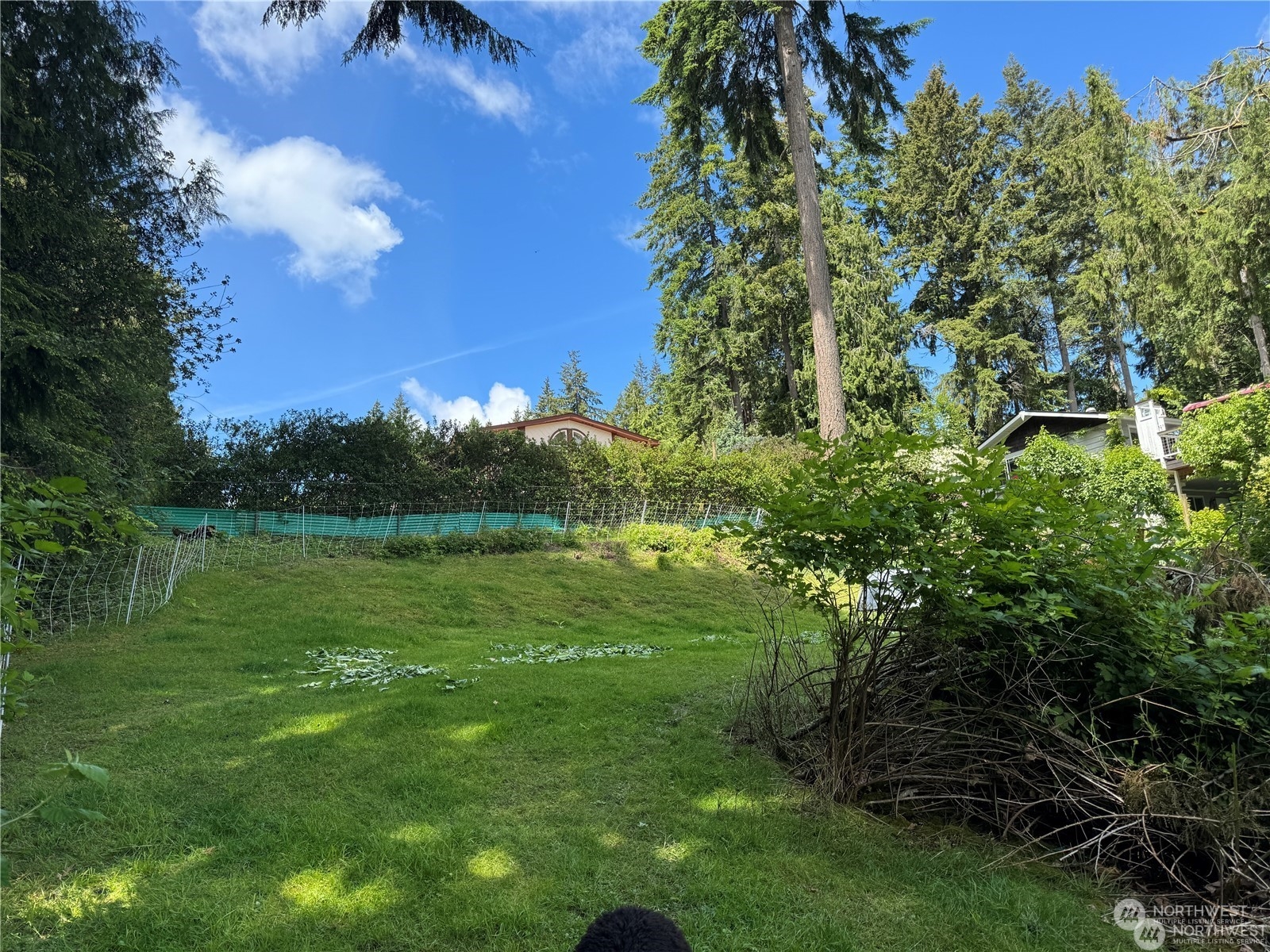 123 Illahee Road Northeast Bremerton, WA 98310 - Photo 6 of 9 a view of a garden with a lake