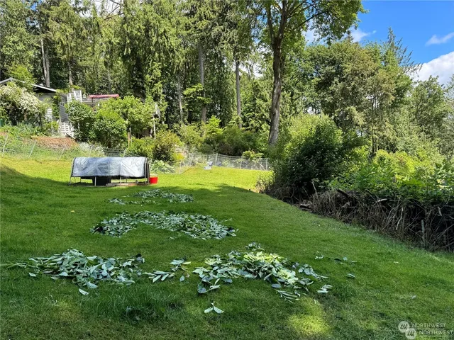 a view of a garden with an outdoor space