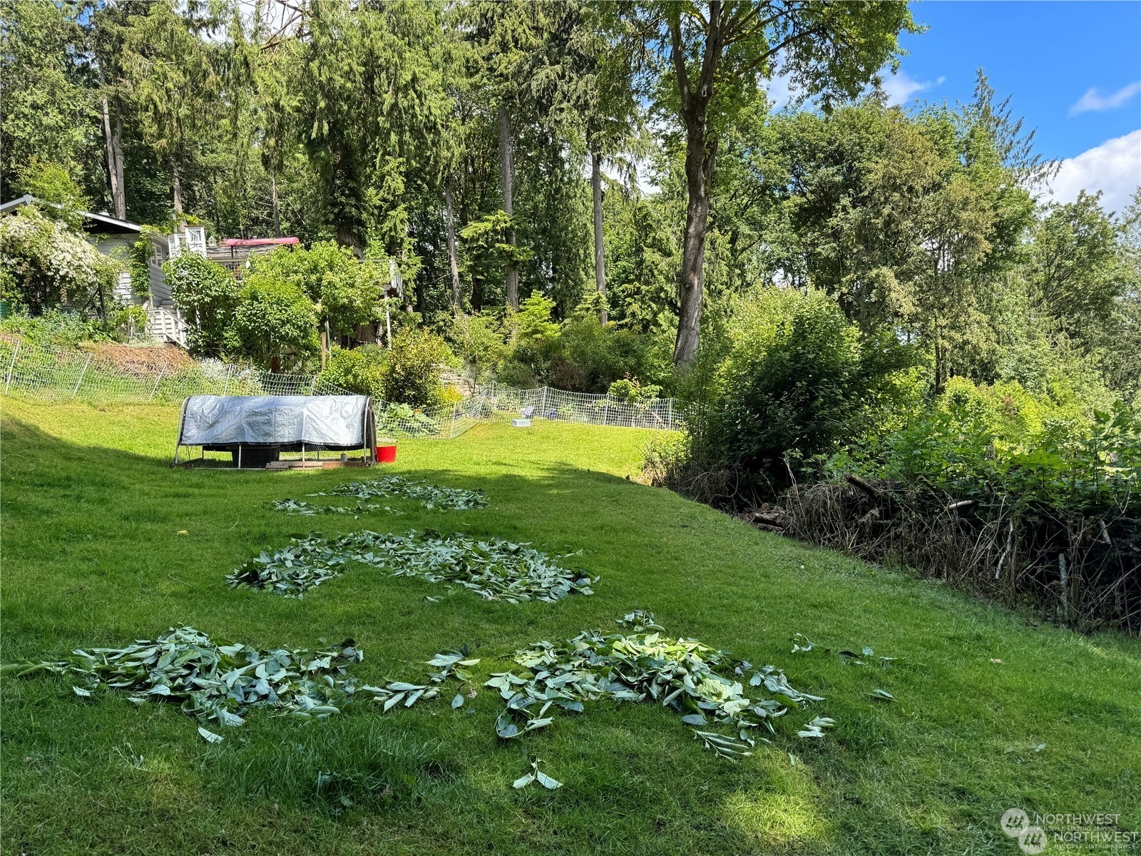 123 Illahee Road Northeast Bremerton, WA 98310 - Photo 7 of 9 a view of a garden with an outdoor space