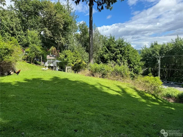 a backyard of a house with lots of green space