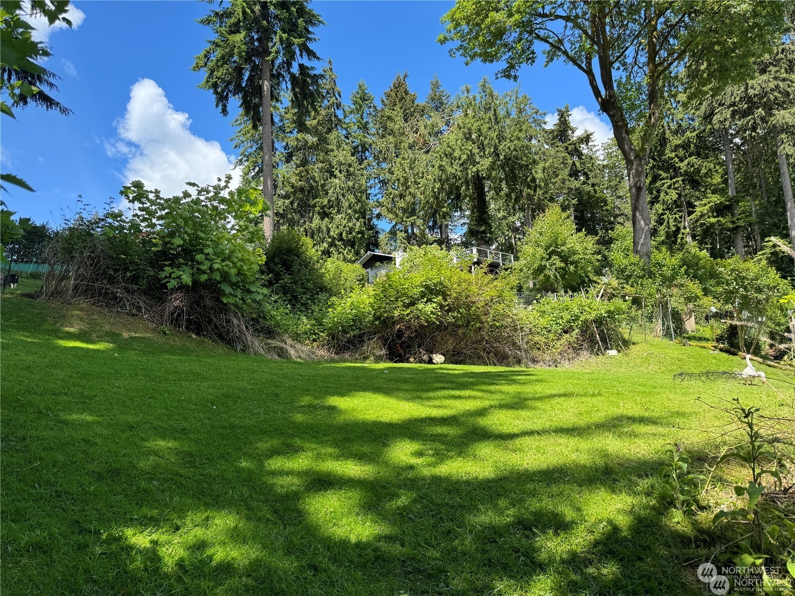 123 Illahee Road Northeast Bremerton, WA 98310 - Photo 9 of 9 a view of a lush green space