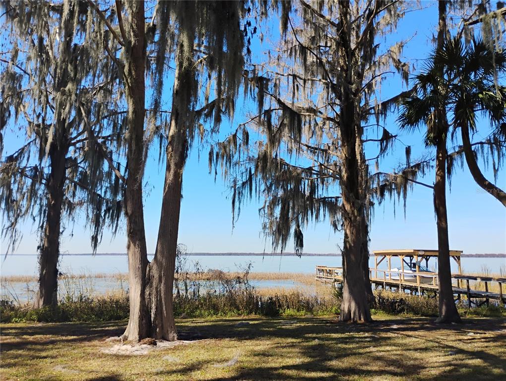 31035 Cove Road Tavares, FL 32778 - Photo 1 of 14