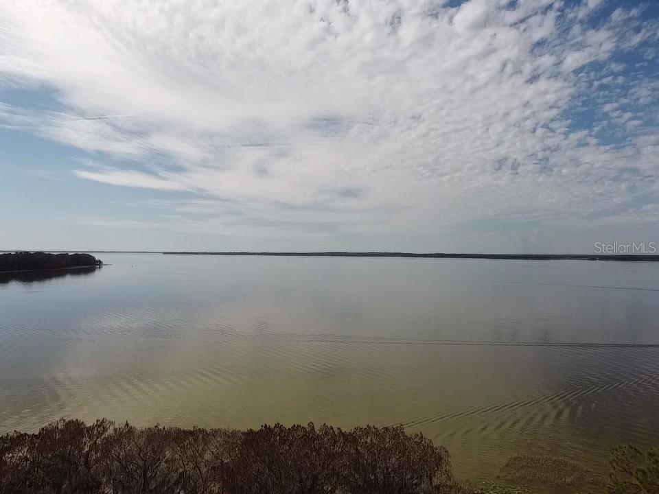 31035 Cove Road Tavares, FL 32778 - Photo 11 of 14 a close view of shower