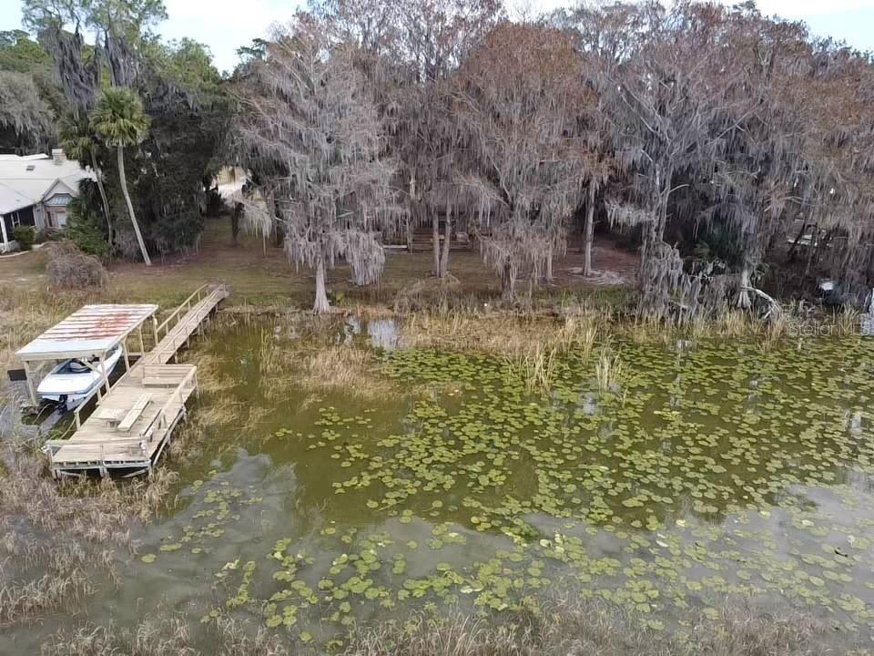31035 Cove Road Tavares, FL 32778 - Photo 13 of 14 a view of yard with tree