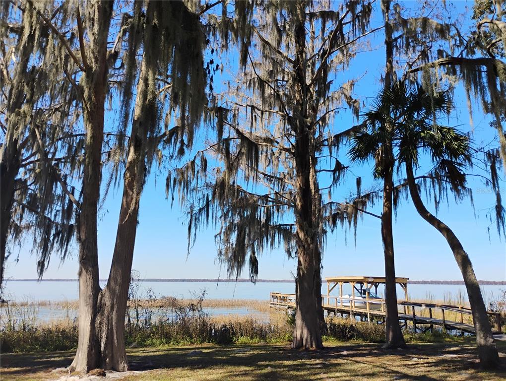 31035 Cove Road Tavares, FL 32778 - Photo 4 of 14