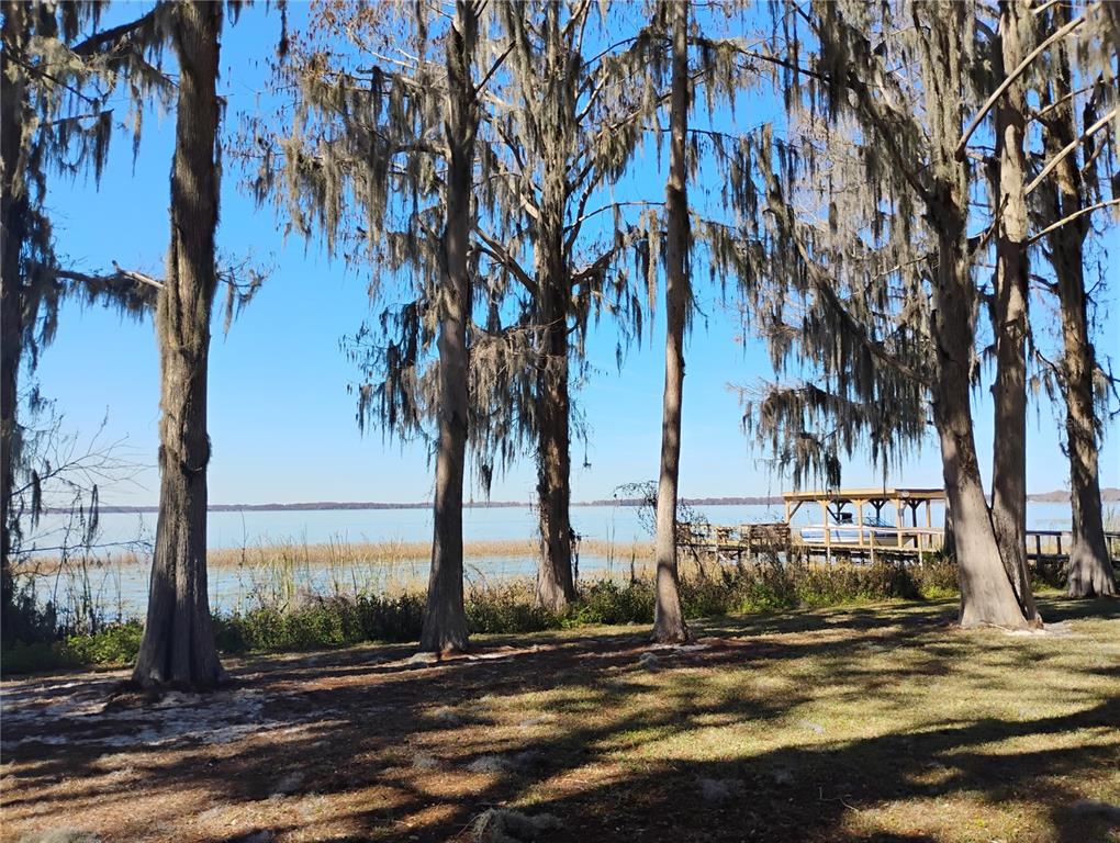 31035 Cove Road Tavares, FL 32778 - Photo 5 of 14