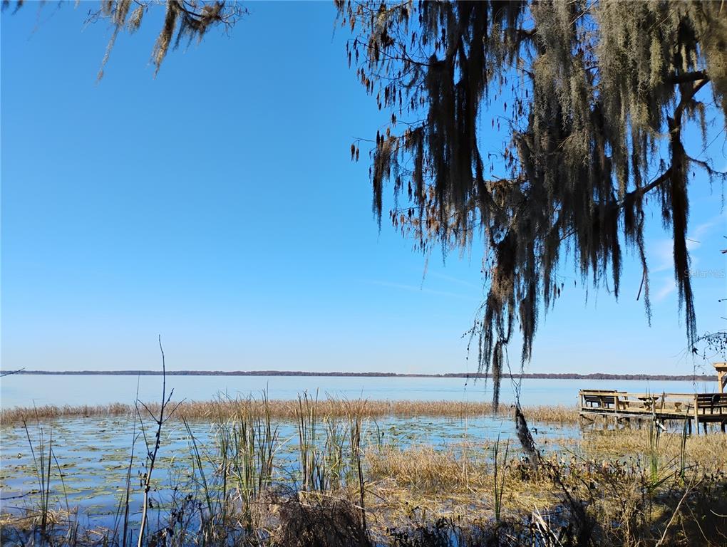 31035 Cove Road Tavares, FL 32778 - Photo 6 of 14