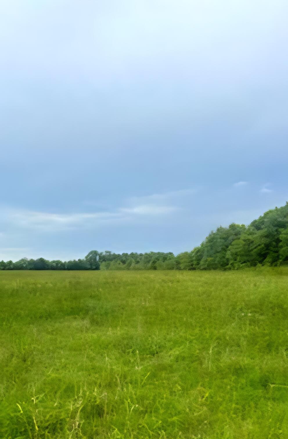 32-acres Williams Road DeFuniak Springs, FL 32433 - Photo 1 of 16 a view of a lake with a big yard